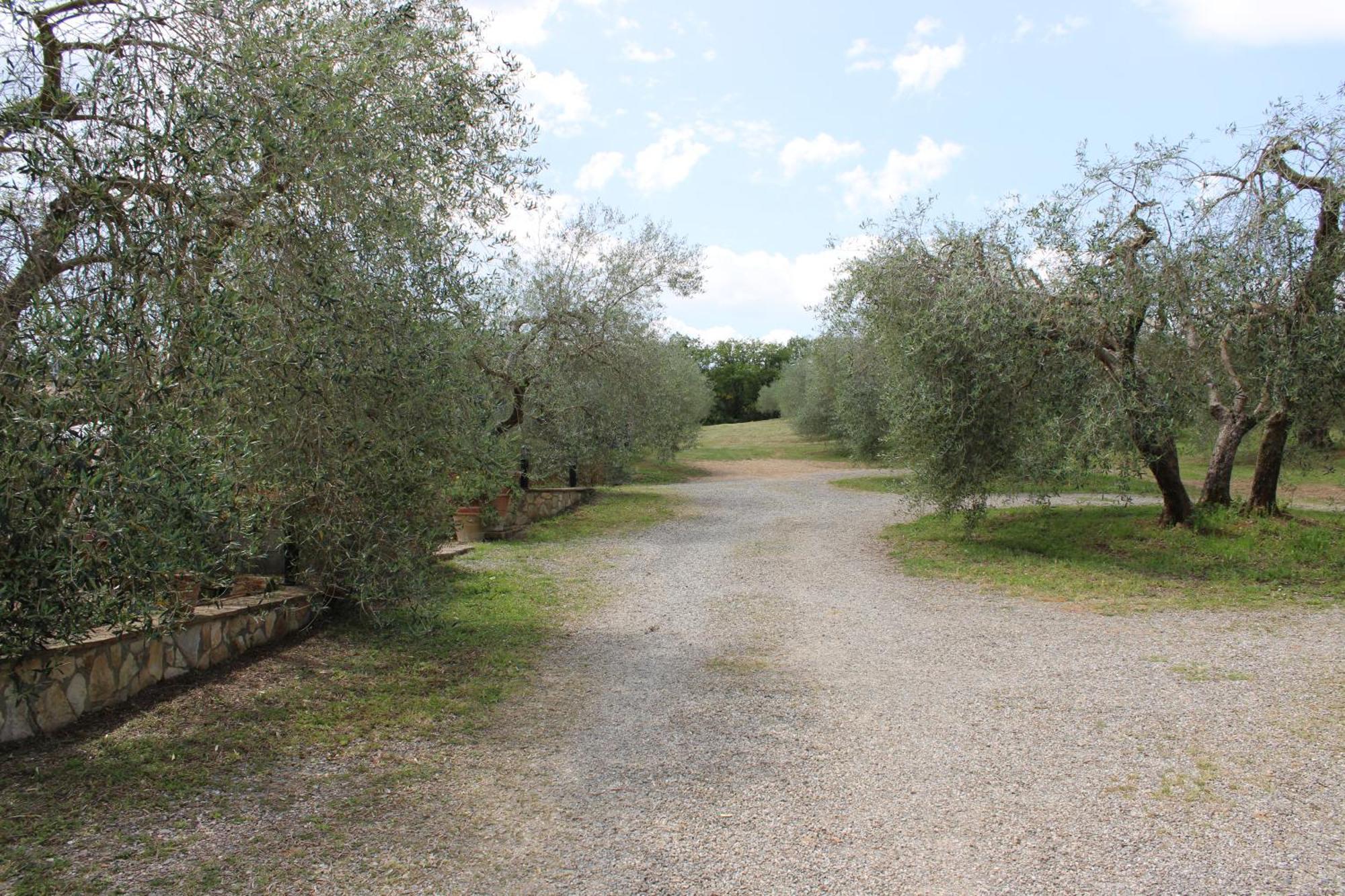 Agriturismo Cantagalli San Quirico dʼOrcia Exterior foto