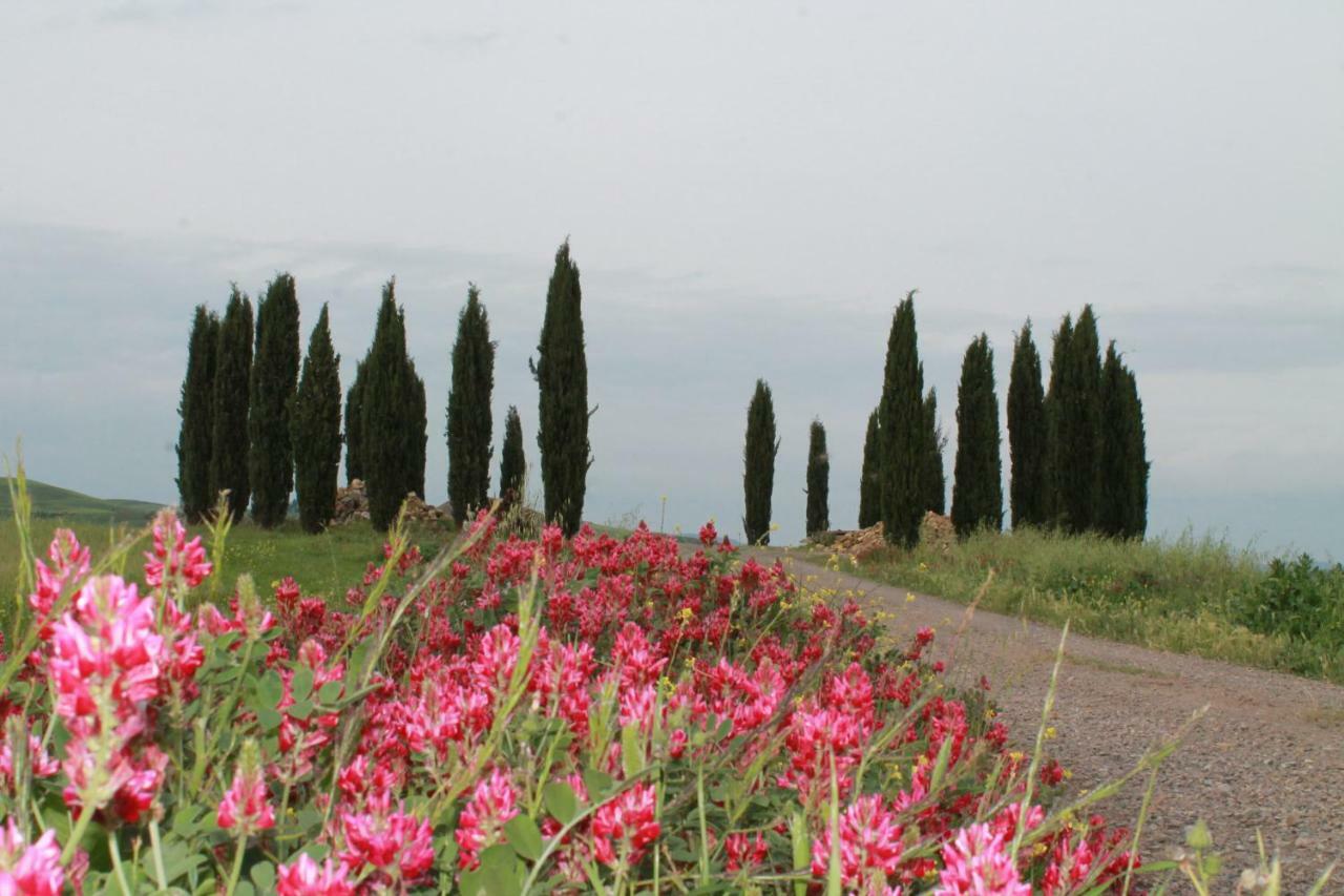 Agriturismo Cantagalli San Quirico dʼOrcia Exterior foto